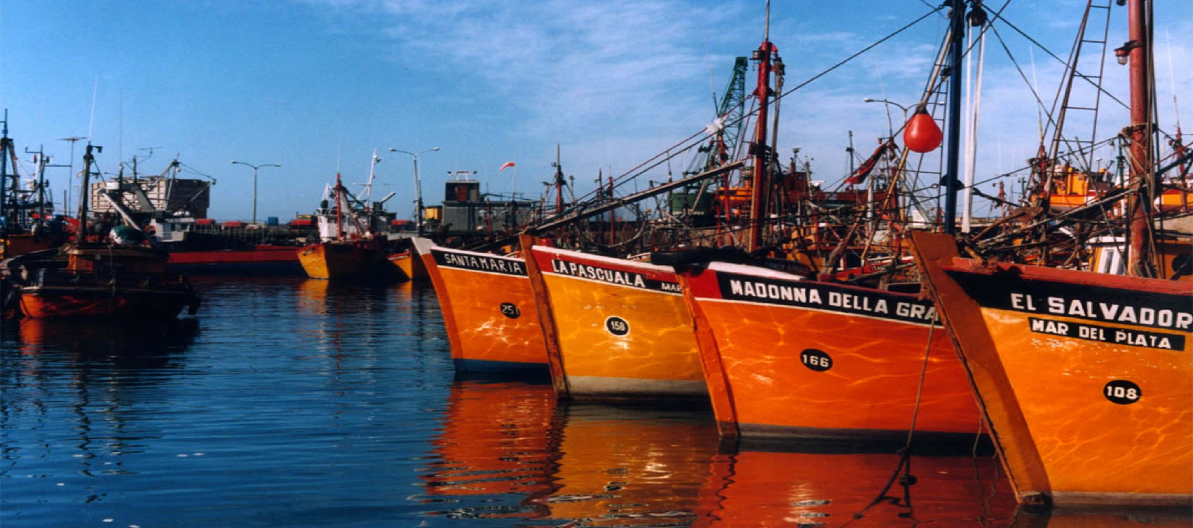 imagen del puerto de Mar del Plata, barcos